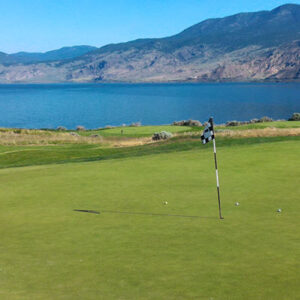 tobiano-2