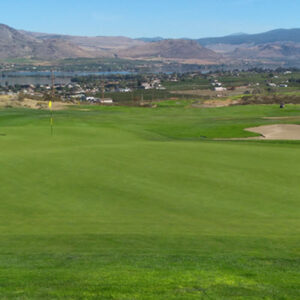 tobiano